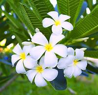 Baraza Resort & Spa Zanzibar