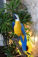 Hotel Aeroporto Montese Star