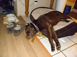 Sea Haven Motel & Guest House