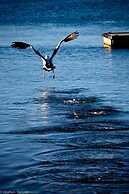 Burnie Airport Motel