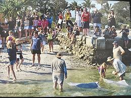 Tin Can Bay Budget Accommodation - Hostel