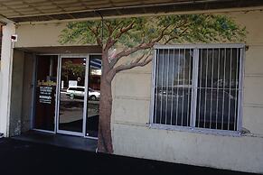 The Guesthouse - Hostel