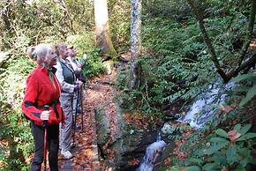 Innisfree Boutique Inn By-The-Lake