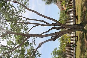 Residencia Mexico y Nubes