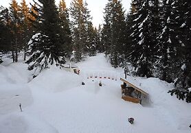 Eco Bivouac Village D'Igloo - Campground