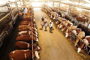 Agriturismo Villa Dafne