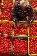 Agriturismo Villa Dafne