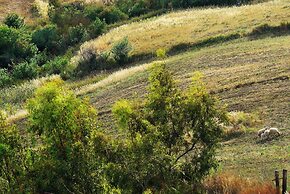 Agriturismo Villa Dafne