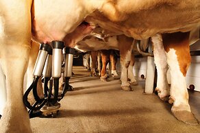 Agriturismo Villa Dafne