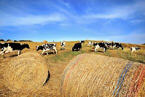 Agriturismo Villa Dafne
