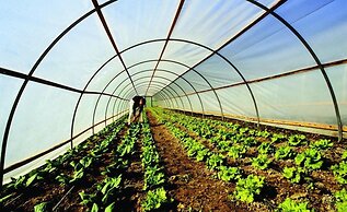 Agriturismo Villa Dafne