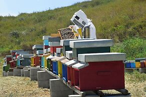 Agriturismo Villa Dafne