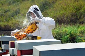 Agriturismo Villa Dafne