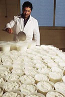 Agriturismo Villa Dafne