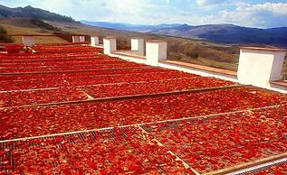 Agriturismo Villa Dafne