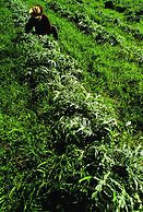 Agriturismo Villa Dafne