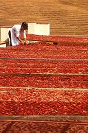 Agriturismo Villa Dafne