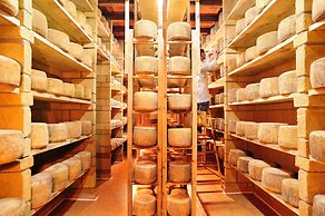 Agriturismo Villa Dafne