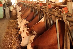 Agriturismo Villa Dafne