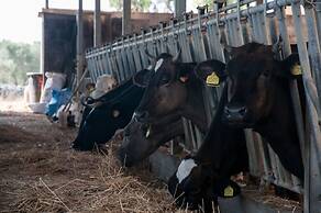 Agriturismo Il Megalite