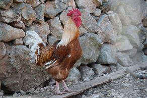 Agriturismo Il Megalite