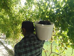 Agriturismo Il Megalite