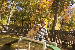 Williamsburg Campground