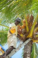 Coconut Row