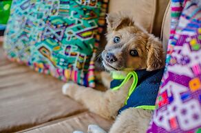 Hotel Convento Santa Catalina