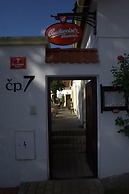 Cesky Statek