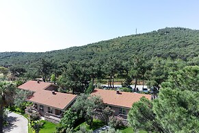 D Resort Ayvalık