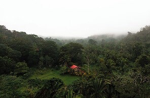 Jaguar Creek