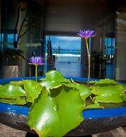 Coral Rock by Bansei