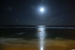 Coral Rock by Bansei