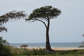 Lemon Creek Hotel Resort