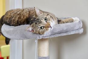 MASEVEN Stuttgart SI-Centrum (ehem. SI-SUITES)