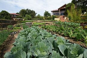 Nkuringo Bwindi Gorilla Lodge