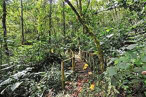 Nkuringo Bwindi Gorilla Lodge