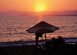 Golden Life Blue Green Residence