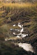 Kiawah Island Golf Resort - Villas