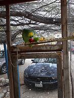 Sea Horizon Apartments (across from Mambo Beach)