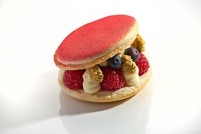 Gewandhaus Dresden, Autograph Collection