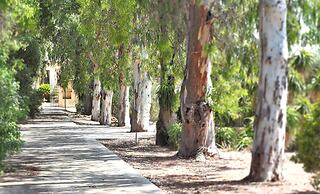 I Giardini di Athena – Athena Resort