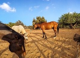 I Giardini di Athena – Athena Resort