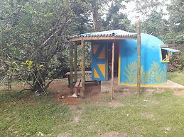 3 Rivers & Rosalie Forest Eco Lodge