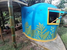3 Rivers & Rosalie Forest Eco Lodge