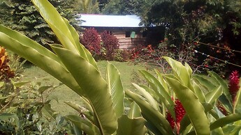 3 Rivers & Rosalie Forest Eco Lodge