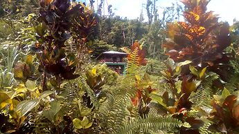 3 Rivers & Rosalie Forest Eco Lodge