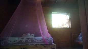 3 Rivers & Rosalie Forest Eco Lodge