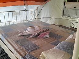 3 Rivers & Rosalie Forest Eco Lodge